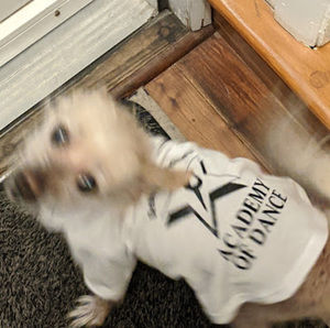 Meet your Posher, Deborah